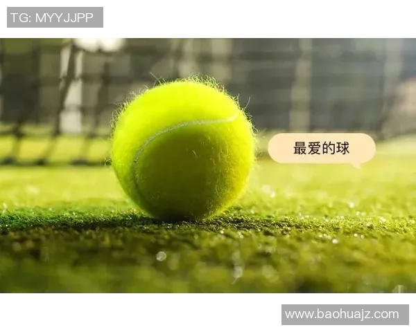 网球新手攻略：力量入门指南